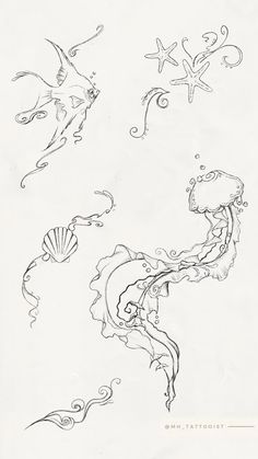 an ink drawing of sea animals and starfish