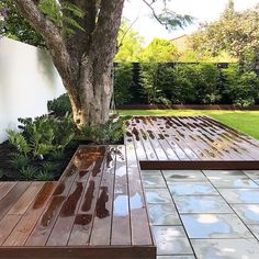 a wooden bench sitting next to a tree