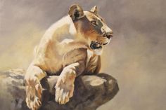 a painting of a lion sitting on top of a rock with his paw in its mouth