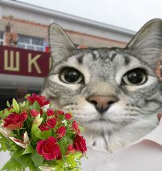 a close up of a cat near a bouquet of flowers