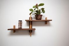 two wooden shelves with plants and vases on them