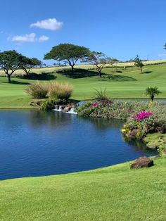 a pond in the middle of a golf course with flowers and trees around it on a sunny day