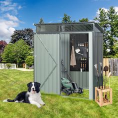 a dog laying in the grass next to a shed with its door open and tools hanging on it