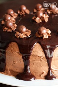 chocolate malt cake on a white plate with the words chocolate malt cake above it