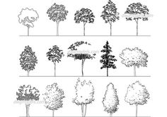 the different types of trees are shown in black and white