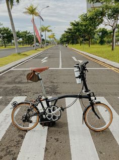 a bicycle parked in the middle of an empty street with palm trees on both sides