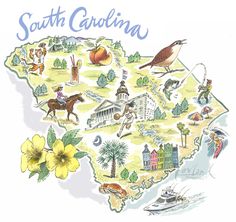 an illustrated map of the state of south carolina with all its attractions and colors, including flowers