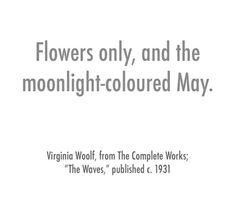 flowers only, and the moonlight - colored may virginia wolff, from the complete works