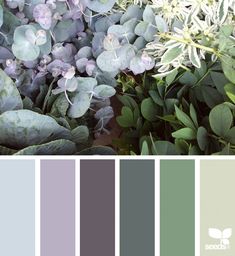 the color palette is green, purple and grey with some white flowers in it's center