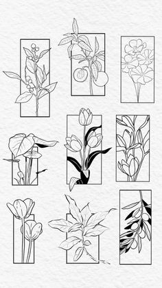 the different flowers are drawn in black and white