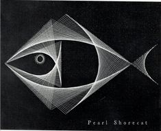 an image of a fish with lines on it's face and eye in the center