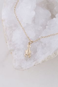 "Tiny Lobster Charm Necklace NECKLACE DESCRIPTION: - Tiny lobster (14mm x 6mm including loop) in gold filled, charm is hollow on the back - High quality dainty gold filled and sterling silver cable chain and components from USA - Handmade and packaged beautifully for you! - - - - - - - - - - - - - - - - - - - - - - - LENGTHS: - The necklace in the photo is 18 inches - Please choose a length from the drop down menu. - If you like another length, simply state the length you like in the \"note to s Lobster Necklace, Idea Gift, Gold Charm Necklace, Gold Choker, Necklace Necklace, Layering Necklace, Necklace Dainty, Gold Charm, Jewelry Plate