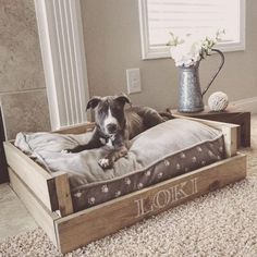 a dog laying on top of a bed in the middle of a living room next to a window