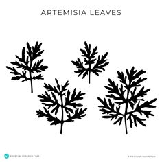 three black silhouettes of leaves on a white background