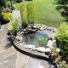 a small pond in the middle of a garden