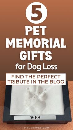 a dog's paw in the sand with text overlay that reads 5 pet memorial gifts for dog loss find the perfect tribute in the blog