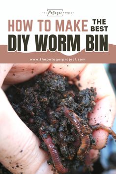 A hand gently holding moist soil containing several earthworms, suggesting the use of organic methods like vermiculture for soil fertility. Vermicomposting Worm Farm, Worm Farm Diy, Worm Tea, Worm Castings Tea, Worm Beds, Worm Composting Bin, Project Runaway, Worm Farming, Composting 101