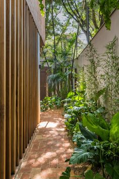 the walkway is lined with green plants and wooden slatted walls, along with brick pavers flooring