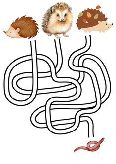 a hedge maze with two hedges and an animal in the middle, on a white background