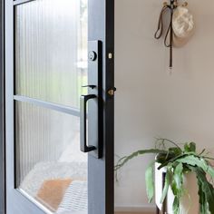 an open door with a potted plant next to it