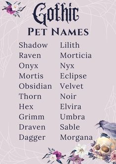 a poster with the names of different animals and their names in purple, white, black and