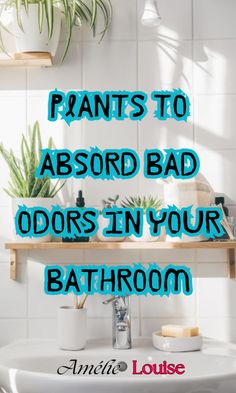 a bathroom sink with plants on the shelf above it and text overlay reading prams to absorb bad odors in your bathroom