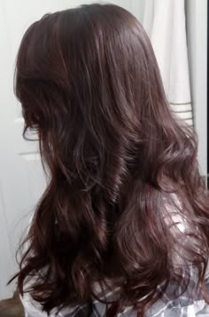 Dark Brown To Dark Red Hair, Dark Brown Hair Red Lowlights, Brown Hair Over Red Dye, Dark Brown Hair With Slight Red Tint, Red Under Tones Hair, Low Light Red Hair, Dark Brown Hair With A Red Tint, Red Tinted Dark Brown Hair, Violet Undertones Hair Dark Brown