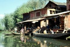 people are on boats in the water near some buildings and trees with green leaves around them