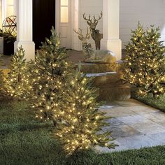 christmas trees are lit up in front of a house with deer statues on the porch