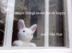 a white stuffed rabbit sitting in front of a window with the words, simple things make me so happy and i like that