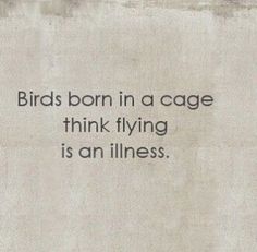 an old photo with the words birds born in a cage think flying is an illusion