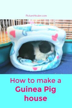 a small black and white dog laying in its bed with the words how to make a guinea pig house