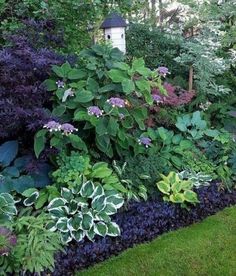 a garden filled with lots of different types of plants and flowers next to a birdhouse