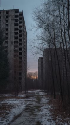 two tall buildings sitting next to each other in the middle of a snow covered forest