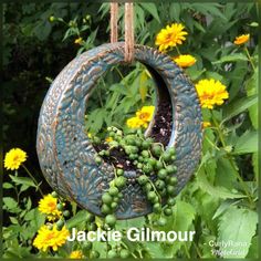 a bird feeder hanging from a tree filled with lots of green plants and yellow flowers