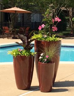 two large planters with flowers in front of a swimming pool