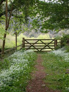 a wooden gate in the middle of a field with trees and grass around it, surrounded by greenery