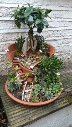 a potted plant with rocks and plants in it on a wooden table next to a building