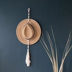 a hat hanging on the wall next to a potted plant with long grass in it