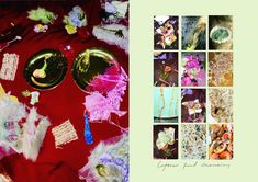 a collage of pictures with flowers, feathers and other things in them on a red table cloth