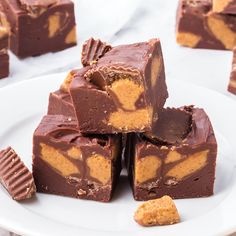 several pieces of chocolate and peanut butter fudge on a white plate