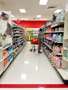 a cat sitting on top of a shopping cart in a store aisle next to shelves filled with food