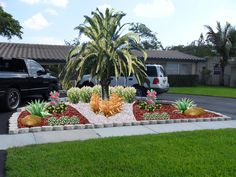 a black truck parked next to a palm tree in front of a house on a street