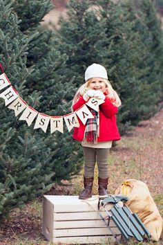 Tree Farm Minis, Christmas Tree Farm Mini Session, Diy Christmas Photoshoot