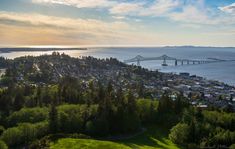 an aerial view of a city with a bridge in the distance and trees around it