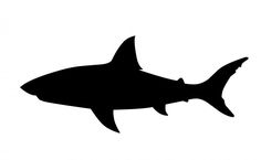 a black and white silhouette of a shark