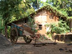 an old wooden cart sitting in front of a building with vines growing on the roof