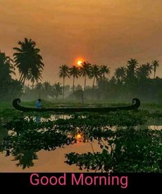 there is a man rowing a boat on the river at sunset with palm trees in the background