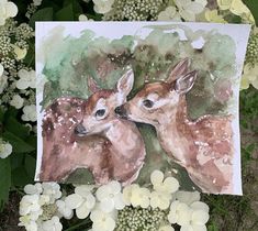 an image of two deers in the wild with flowers around them and watercolor on paper