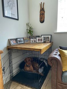 a dog is laying in its cage on the floor next to a couch and table